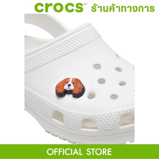 CROCS Jibbitz Cavalier Dog ตัวติดรองเท้า