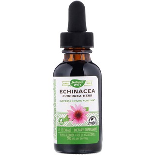 USA Echinacea อาหารเสริมภูมิต้านทาน สกัดจากสมุนไพรธรรมชาติ (Natures Way 30 ml)