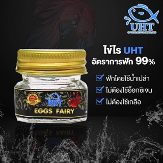 ไข่ไร UHT / อาหารปลา