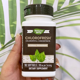 คลอโรเฟรช คลอโรฟิลล์คอมเพล็กซ์ Chlorofresh Chlorophyll Concentrate 100 mg 90 Softgels (Natures Way ®)