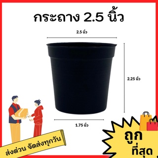 กระถางต้นไม้ กระถาง กระถางต้นไม้พลาสติก ขนาด 2.5 3 4 5 6 นิ้ว เบอร์ 8 กว้าง 7.5 นิ้ว (สีดำ)