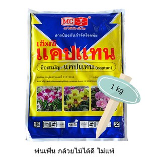 แคปแทน สารCAPTAN 50%