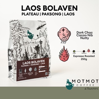 Laos Bolaven Plateau Paksong Grade Premium (Washed) | เมล็ดกาแฟคั่ว MOTMOT COFFEE