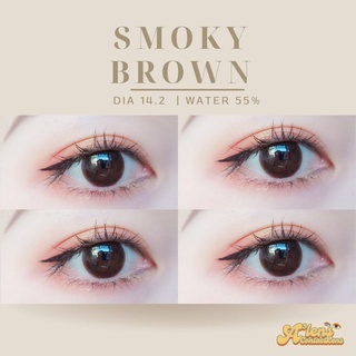 Smoky brown | beautylens | ค่าอมน้ำ 55%