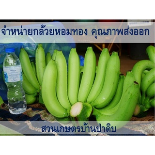 กล้วยหอมทอง คุณภาพส่งออก Organic ปลอดสารพิษ 100%