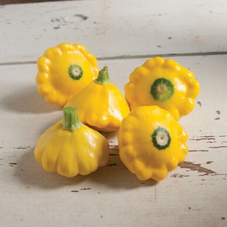 ฟักทองจานบิน (เมล็ด) Patty Pan Squash