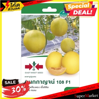 แตงแคนตาลูบ F1 กนกกาญจน์ 108 ศรแดง เมล็ดพันธุ์ CANTALOUPE SEEDS SORNDAENG F1 KANOKKARN 108 ต้นไม้และเมล็ดพันธุ์