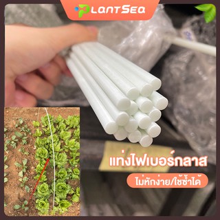 Fiberglass rod 4/6/8mm ไม้ค้ำต้นไม้ หลักไม้เลื้อย เสาต้นไม้ ไม้ค้ำยันต้นไม้ ค้างต้นไม้ ซุ้มต้นไม้ ค้างผัก