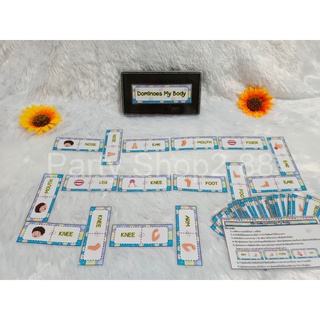สื่อการสอนภาษาอังกฤษ_Dominoes My Body (สินค้าพร้อมส่ง)