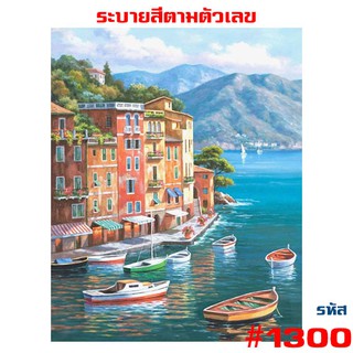 รูปวาด 1300 ขึงเฟรมไม้ HOME DIY สินค้าอยู่ไทยพร้อมส่ง ภาพระบายสีตามตัวเลข ขนาด40x50cm ขึงเฟรมไม้!!