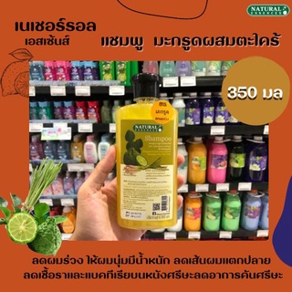 🔥 Natural Essences แชมพู มะกรูด ผสมตะไคร้ 350 มล. ลดผมร่วง เนเชอรอล เอสเซ้นส์ (3155)