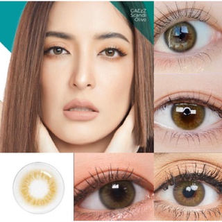 คอนแทคเลนส์ Scandi Olive สแกนดิสีโอลีฟ สายตา 50-700