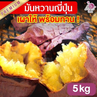 มันหวานญี่ปุ่น เบนิฮารุกะ 5kg เผาให้พร้อมทาน🔥 มันหวาน มันญี่ปุ่นแท้ มันญี่ปุ่น มันหวานญี่ปุ่นเบนนิฮารุกะ มันญี่ปุ่นหวาน