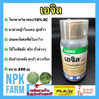 เอจิล โพรพาควิซาฟอบ 10% W/V EC 250 ซีซี กำจัดวัชพืชใบแคบ ในพืชใบกว้าง ปลอดภัย ใช้ใน ผักชี คะน้า มะเขือเทศ มันสำปะหลัง