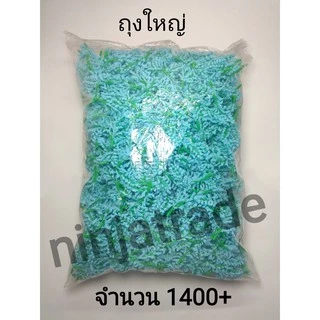 ดอกข้าวฟ่าง ดอกข้าวฟ่างร่วง