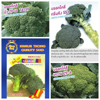 เมล็ดบรอคโคลี (BROCCOLI SEEDS) หลากหลายสายพันธุ์