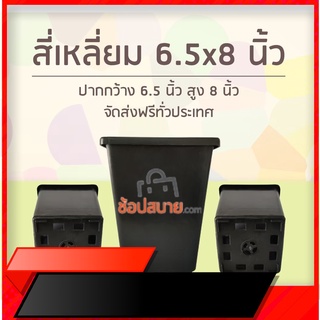 กระถางปลูกต้นไม้ สี่เหลี่ยม 6.5x8 นิ้ว (ทรงสูง) 1 แพ็ค 10 ใบ