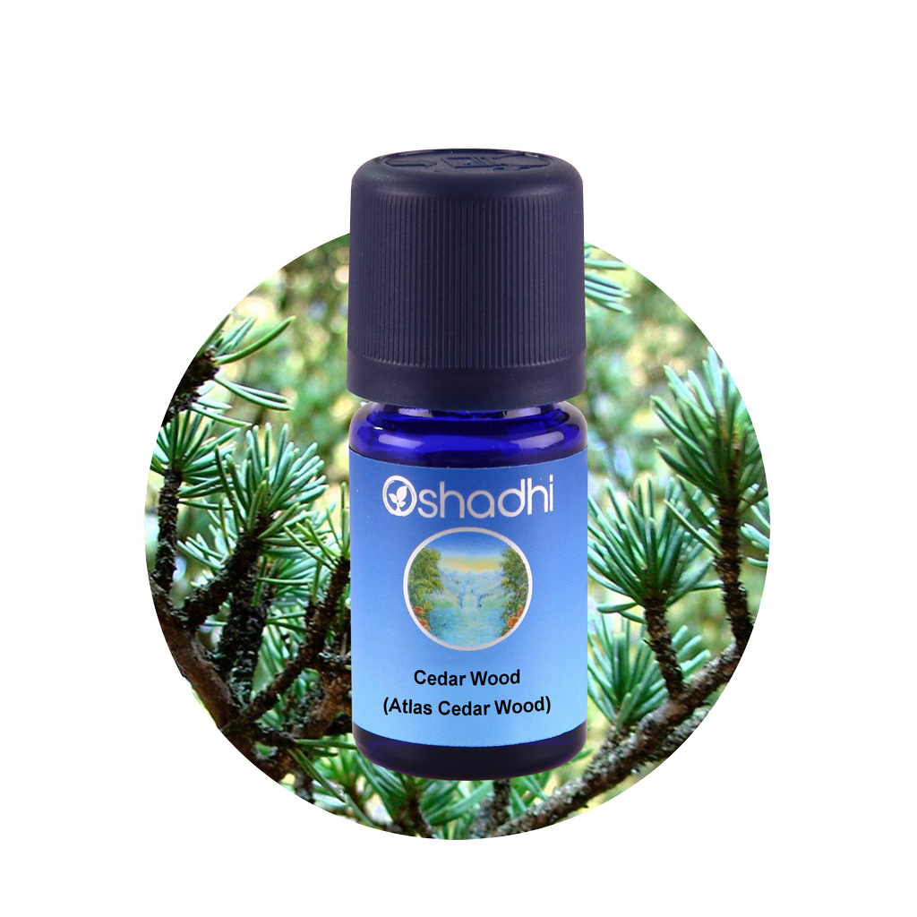 Oshadhi - Cedar Wood (Atlas) essential oil 10 ml