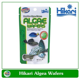 Hikari Algae Wafer อาหารปลา สำหรับปลากินพืช กินตะไคร่น้ำ ปลาแพะ ปลาหมู ชนิดแผ่นจมน้ำ