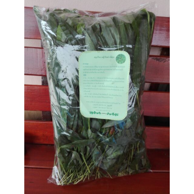 หญ้ารีแพร์แบบสดไร้ราก 1000กรัม 200บาท