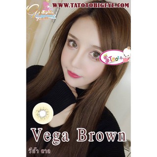 Vega brown by TATOTO Contact Lenses บิ๊กอาย #38