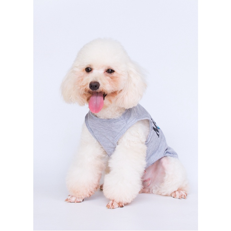 เสื้อผ้าสัตว์เลี้ยง เสื้อกั๊ก แฟชั่นฤดูร้อน สําหรับสุนัข แมว - รูปที่ 4