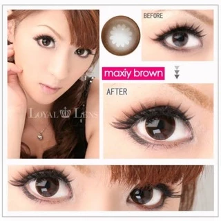 ส่งด่วนทุกวัน‼️คอนแทคเลนส์ สีช็อกโก Brownie / Moonlight Choco ขนาดบิ๊กอาย