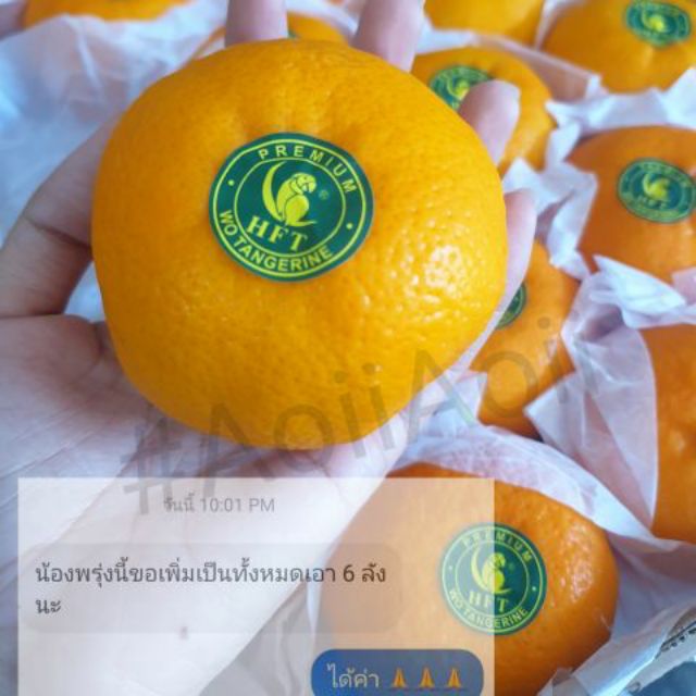 ส่งฟรี ส้มไต้หวัน ตรา Wo Tangerine อร่อย เกล็ดส้มฉ่ำ