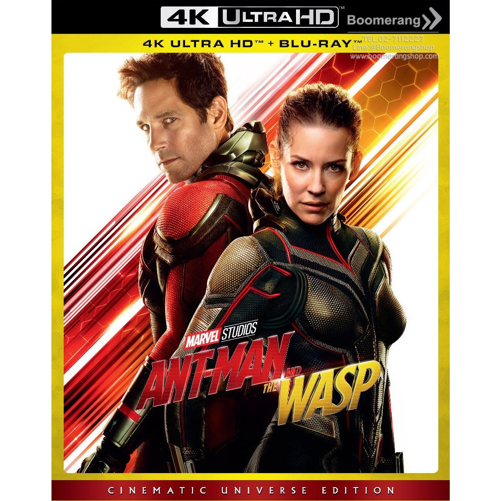 Ant-Man and the Wasp/แอนท์-แมน และ เดอะ วอสพ์ (4K Ultra HD + Blu-ray) (4K มีซับไทย)