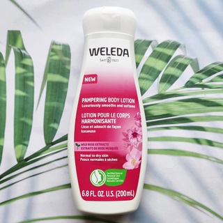 (Weleda®) Pampering Body Lotion with Wild Rose Extracts 200 mL โลชั่นผิวกาย ให้ความชุ่มชื้น ผสมกุหลาบป่า สำหรับผิวแห้ง