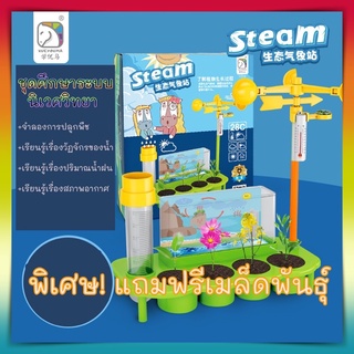 ✔️พร้อมส่ง&gt;&gt; STEAM ชุดปลุกผัก ชุดศึกษาระบบนิเวศวิทยา ปลูกพืช✔️ ของเล่นเสริมพัฒนาการ ปลูกพืช ระบบน้ำ ปลูกผัก