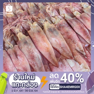 หมึกแพไข่ เกรดA สดใหม่