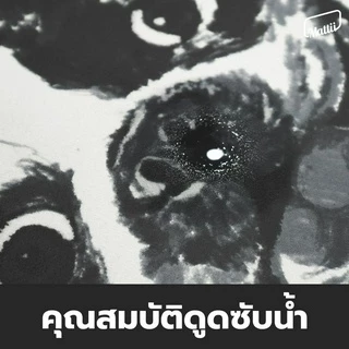 [ Mattii พรมซับน้ำ ] พรมเช็ดเท้าแบบนุ่ม PU 3 ชั้น สัมผัสนุ่ม ซับน้ำไว ภายใน 5 วินาที มียางกันลื่น ทำความสะอาดง่าย