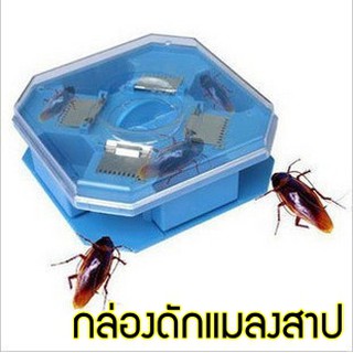 (ล้างสต๊อก)กล่องดักแมลงสาบ ไม่ใช้ไฟฟ้า Cockroach Trap Box