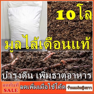 10โล มูล ไส้เดือน ถุงยักษ์ อินทรีย์ แท้100% มูลไส้เดือน จากฟาร์ม เพาะ ปลอดสารเคมี มูลไส้เดือนดิน ออร์แกนิค กระสอบ199