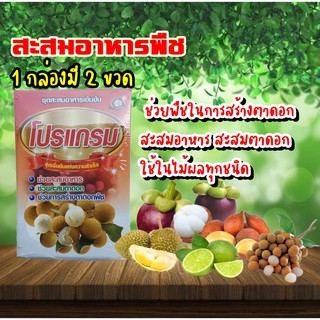 โปรแกรม ชุดสะสมอาหารพืช สูตรเข้มข้น สำหรับไม้ผลทุกชนิด2ขวด×1ลิตร