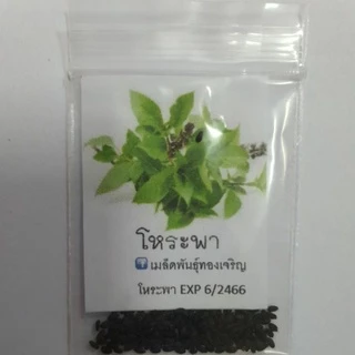 ผักสวนครัว📌10แถม1!!📌ถูกที่สุด 9 บ.📌เมล็ดพันธุ์ผักสวนครัว 5-500 เมล็ด🌿 ขายดีที่สุด🌱งอกง่าย🌱มีคู่มือการปลูก [10 แถม 1]