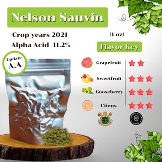 Nelson Sauvin 1 oz บรรจุสูญญากาศ Crop years 2021