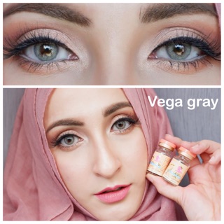 คอนแทคเลนส์ เกรทซีเคร็ท รุ่น Vega สีเทา