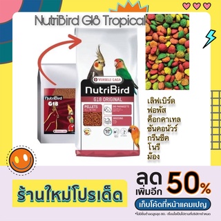 ผลไม้อัดเม็ดNutribirdG18tropical