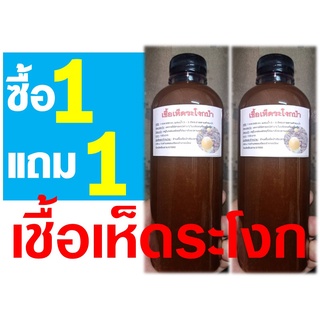 เชื้อเห็ดระโงก 1 ขวด ขนาด 500 ml. ซื้อ 1 แถม 1