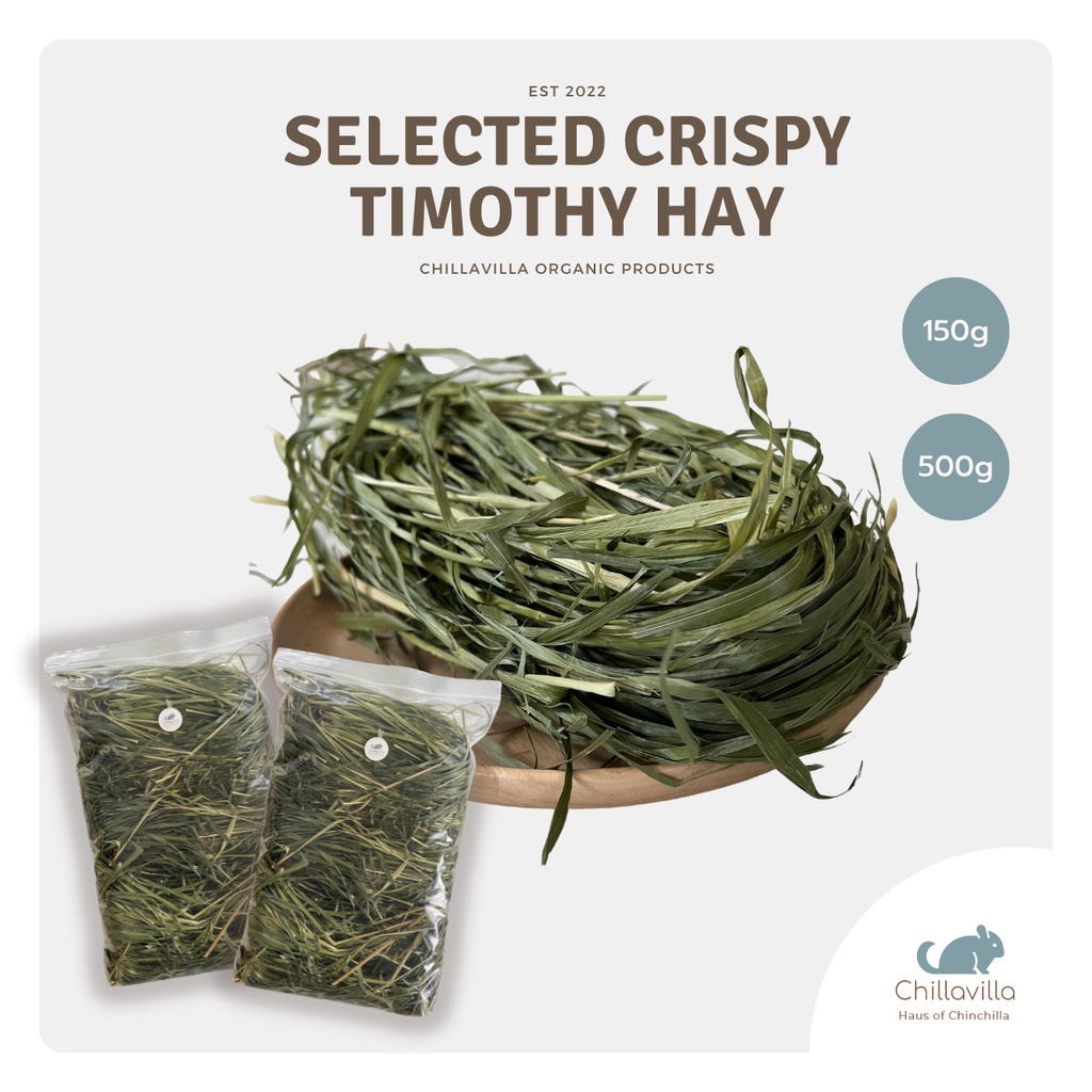 Chillavilla | หญ้าทิมโมธีก้านกรอบ อบลมร้อน / Selected Crispy Timothy Hay สำหรับกระต่าย ชินชิลล่า แกสบี้ แพรี่ดอก