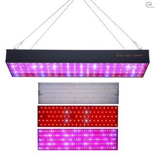 [T&amp;H] แผงไฟปลูกพืชไฮโดรโปนิก LED 1000W สําหรับปลูกพืชในร่ม และดอกไม้