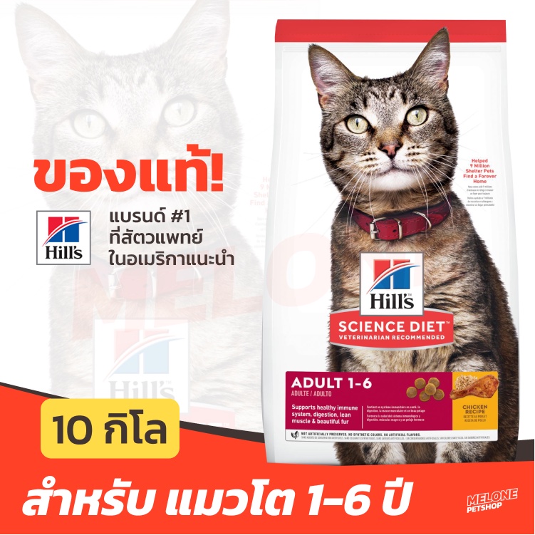 [หมดอายุ 07/2025] Hill's ฮิลส์ อาหารแมว สูตร Science Diet Adult 1-6 สำหรับ แมวโต อายุ 1-6 ปี ขนาด 10kg