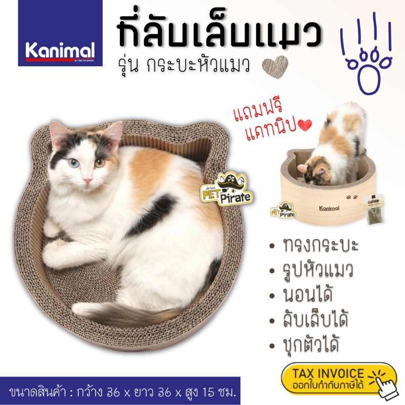 Kanimal ของเล่นแมว ที่ลับเล็บแมว กระบะรูปหัวแมว แมวนอนได้ ลับเล็บง่าย เพลินๆ สำหรับน้องแมวเหมียว ออกกำลังและคลายเครียด