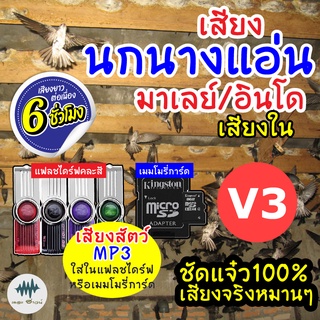 (MP3 เสียงต่อสัตว์) เสียงนกแอ่นอินโด-เสียงใน V.3 [6ชั่วโมง] ใส่เมม/แฟลชไดร์ฟ มีเก็บเงินปลายทาง ชัดเข้าไว100% ไม่มีโฆษณา