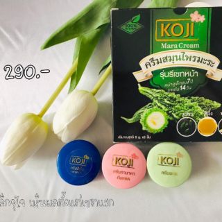 ครีมสมุนไพรมะระ koji cream