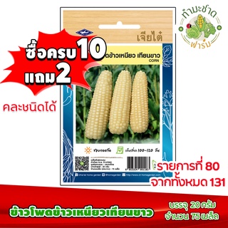 (ซื้อ10แถม2) เมล็ดพันธุ์ ข้าวโพด ข้าวเหนียว เทียนขาว corn ประมาณ 75เมล็ด เจียไต๋ เมล็ดพันธุ์พืช เมล็ดพันธุ์ผัก เมล็ดผัก