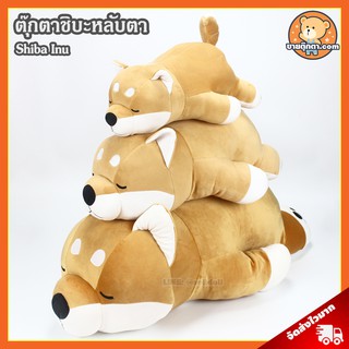 ตุ๊กตา ชิบะ เกรดพรีเมี่ยม (ขนาด 18,25,35,45 นิ้ว) ลิขสิทธิ์แท้ / ตุ๊กตา Shiba Inu นุ่มนิ่ม หมาชิบะ ของเล่นเด็ก ของขวัญ