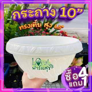 กระถางต้นไม้ 10 นิ้ว ( 4 แถม 1) 🐞 กระถางปลูกต้นไม้ กระถางเพาะเมล็ด กระถางสีขาว กระถางพลาสติก เนื้อดี สวย